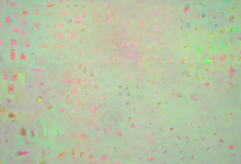 ©hiroki taniguchi 2006<br>「安息の地の光の加減」145×227cm　個人蔵