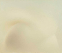 ⓒtamie okuyama<br>《シリーズゆらぐ:地気》<br>キャンバスに油彩 44.0 × 52.0cm 1991
